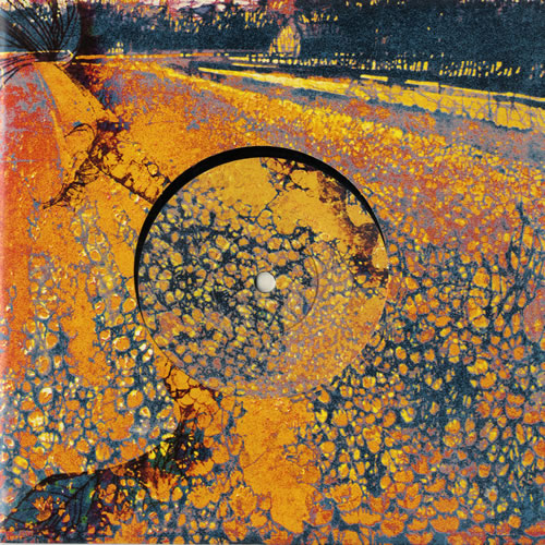 The Avalanches ‎–Since I Left You 7inch 91K8HJFoPyL._UF350,350_QL50_.jpg
